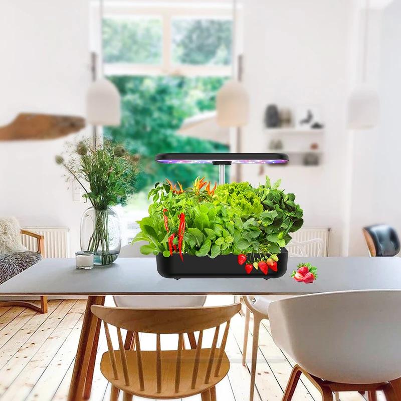 Igs-20 Mini Garden Grow Kit 12 Pods Full Spectrum Light Hydroponic Growing Systems Home Indoor Smart Garden - Buy Product on Alibaba.com